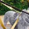 AMV DOGS hundkoppel Artikelnummer: LAISSECHIENH26