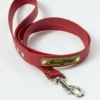 AMV DOGS hundkoppel Artikelnummer: LAISSECHIENH26