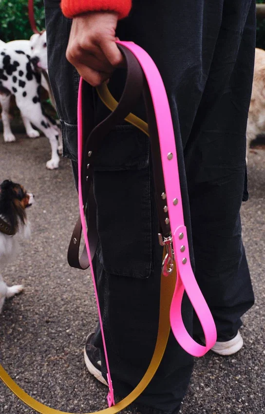 AMV DOGS hundkoppel Artikelnummer: LAISSECHIENH26