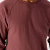 Herr-T-shirt Sonoma Artikelnummer: MSON24GH26