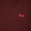Unisex Izubird-tröja ”AMV X Rollercoaster” Artikelnummer: IZU03DMKTE26
