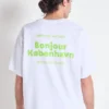 Unisex-T-shirt Fizvalley – Artikelnummer: MFIZ02AMH26
